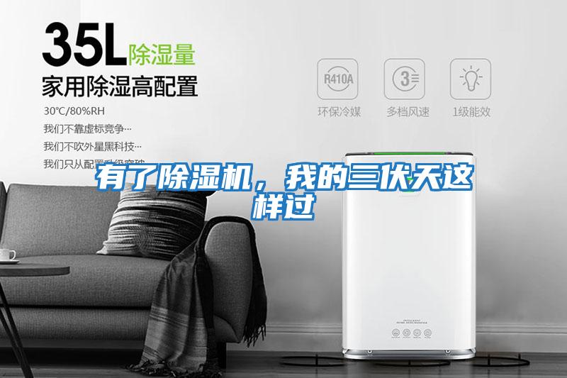 有了除濕機，我的三伏天這樣過