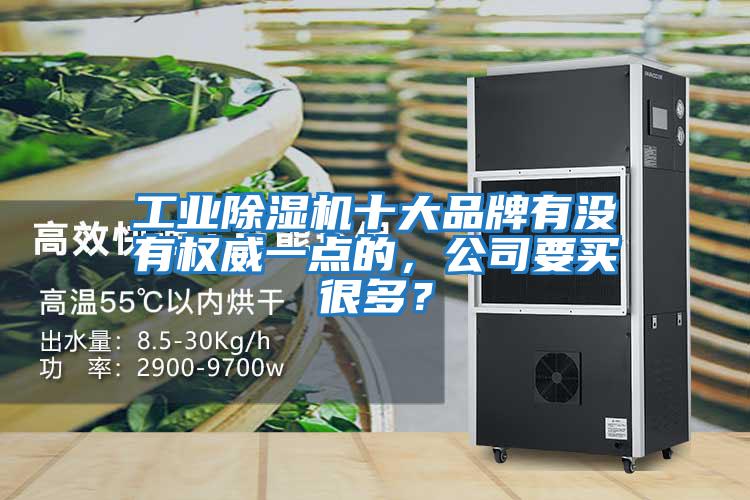 工業(yè)除濕機十大品牌有沒有權威一點的，公司要買很多？