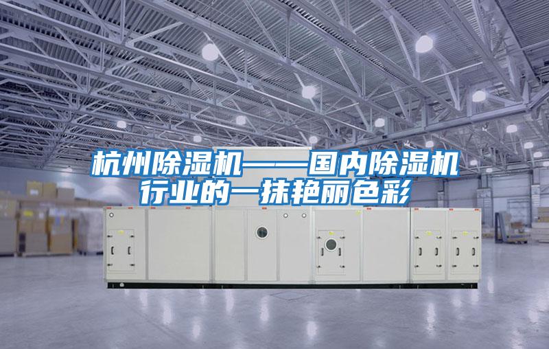 杭州除濕機(jī)——國內(nèi)除濕機(jī)行業(yè)的一抹艷麗色彩