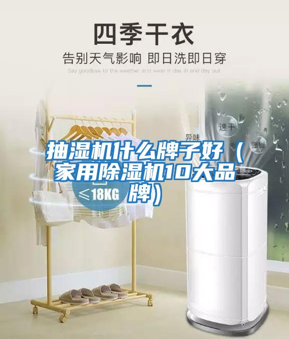 抽濕機什么牌子好(家用除濕機10大品牌)