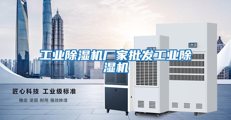 工業除濕機廠家批發工業除濕機