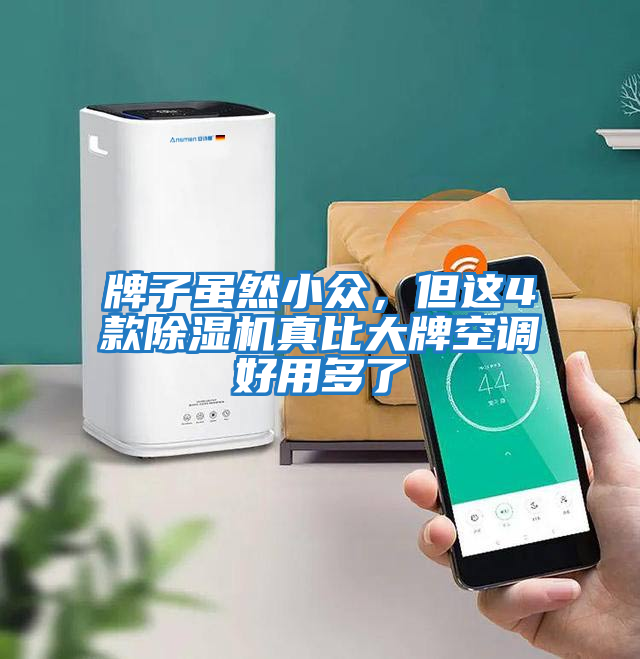 牌子雖然小眾，但這4款除濕機真比大牌空調好用多了