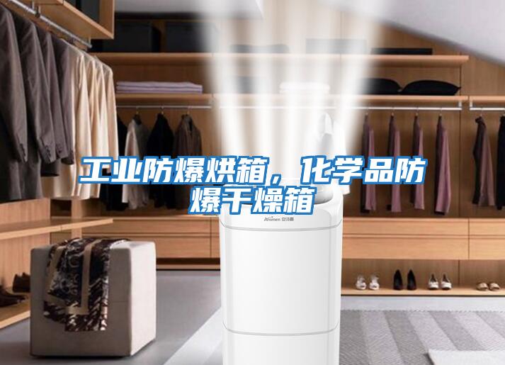 工業防爆烘箱，化學品防爆干燥箱