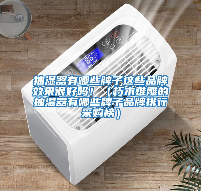 抽濕器有哪些牌子這些品牌效果很好嗎?。ㄐ嗄倦y雕的抽濕器有哪些牌子品牌排行采購榜）