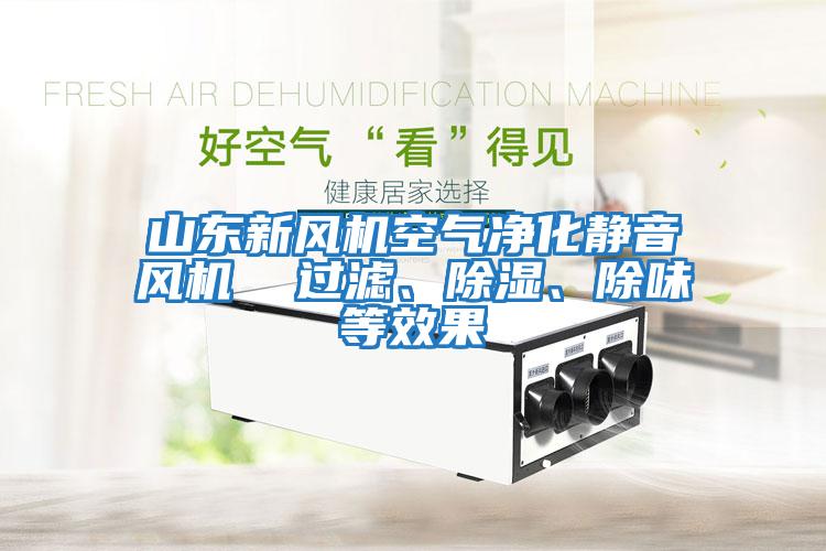 山東新風(fēng)機空氣凈化靜音風(fēng)機  過濾、除濕、除味等效果