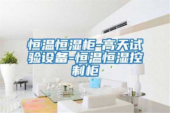 恒溫恒濕柜-高天試驗設備-恒溫恒濕控制柜