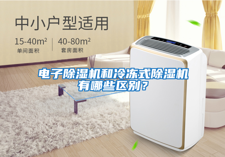電子除濕機和冷凍式除濕機有哪些區別？