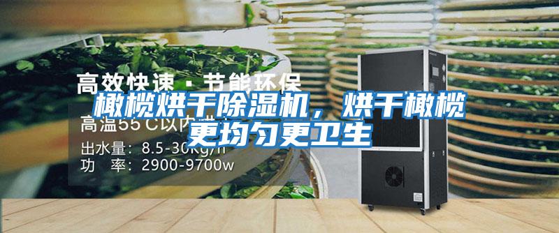 橄欖烘干除濕機,烘干橄欖更均勻更衛(wèi)生