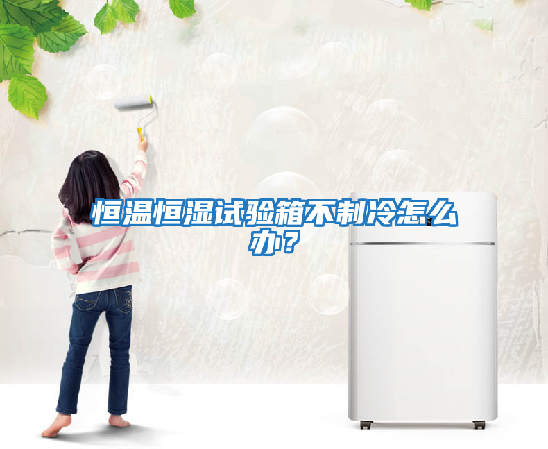 恒溫恒濕試驗箱不制冷怎么辦？