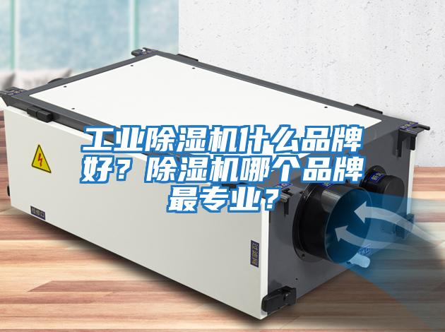 工業(yè)除濕機(jī)什么品牌好？除濕機(jī)哪個(gè)品牌最專業(yè)？