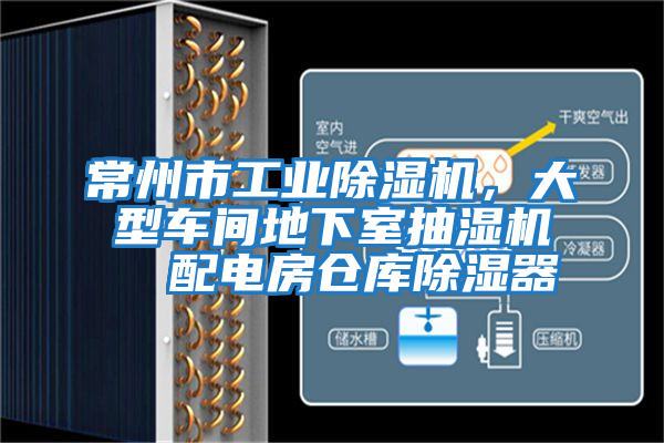 常州市工業(yè)除濕機(jī)，大型車間地下室抽濕機(jī)  配電房倉庫除濕器