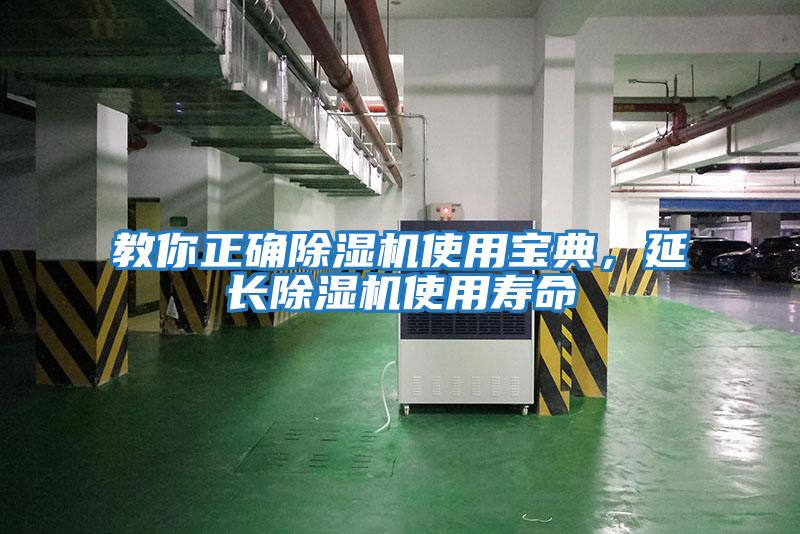 教你正確除濕機使用寶典，延長除濕機使用壽命