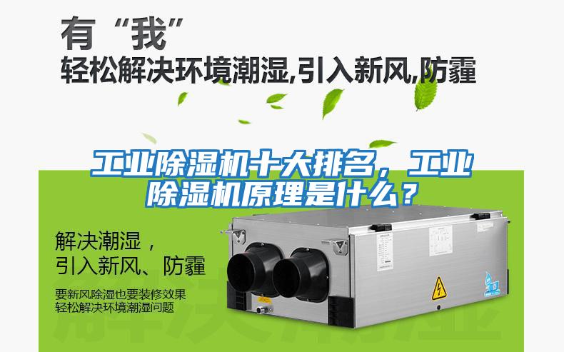 工業(yè)除濕機十大排名，工業(yè)除濕機原理是什么？