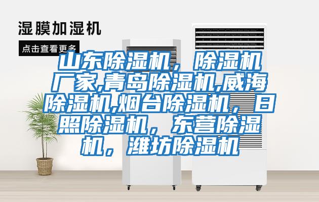 山東除濕機，除濕機廠家,青島除濕機,威海除濕機,煙臺除濕機，日照除濕機，東營除濕機，濰坊除濕機