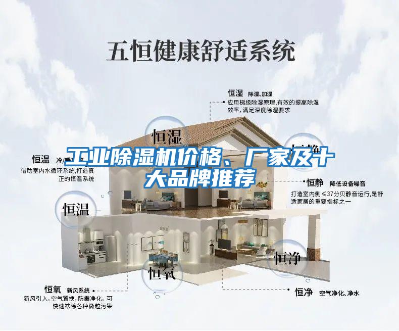 工業除濕機價格、廠家及十大品牌推薦