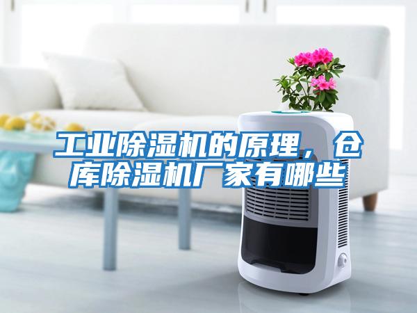 工業除濕機的原理，倉庫除濕機廠家有哪些