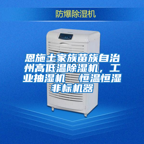 恩施土家族苗族自治州高低溫除濕機，工業抽濕機  恒溫恒濕非標機器