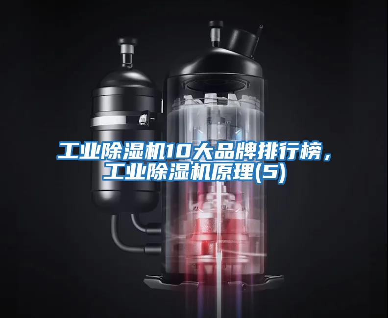 工業除濕機10大品牌排行榜，工業除濕機原理(5)