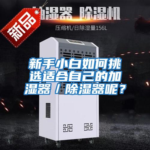 新手小白如何挑選適合自己的加濕器／除濕器呢？