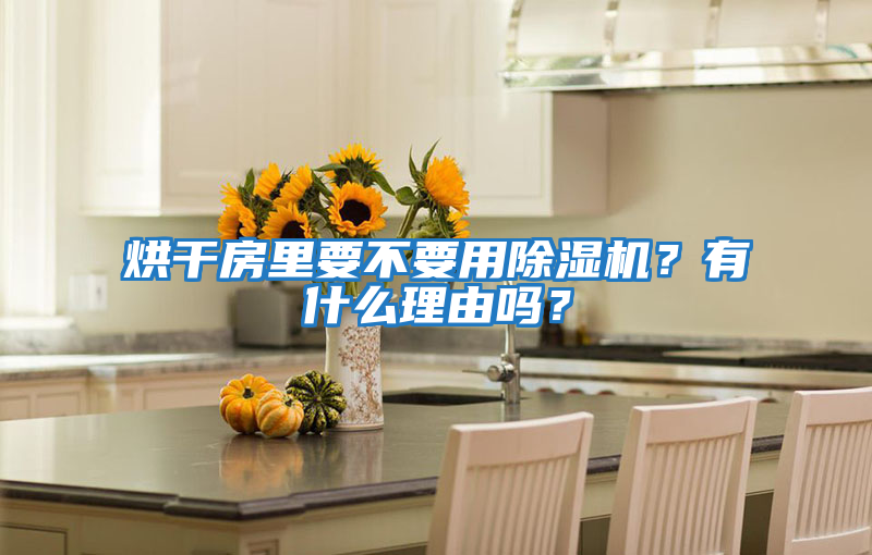 烘干房里要不要用除濕機？有什么理由嗎？