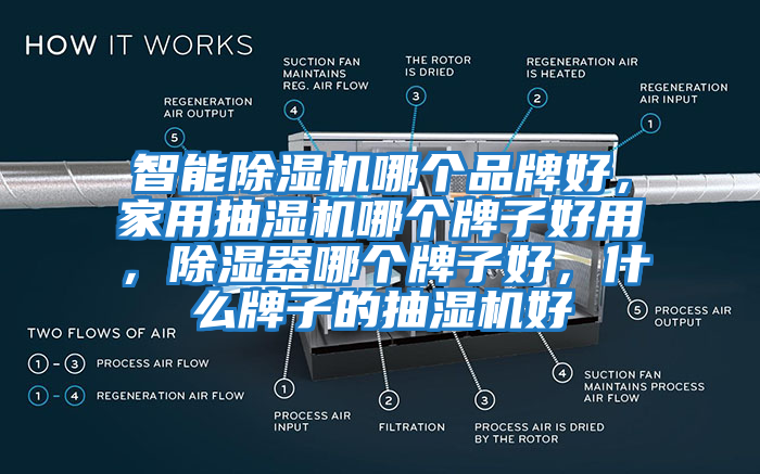 智能除濕機哪個品牌好，家用抽濕機哪個牌子好用，除濕器哪個牌子好，什么牌子的抽濕機好