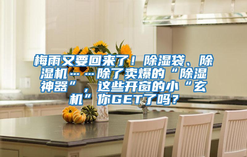 梅雨又要回來了！除濕袋、除濕機……除了賣爆的“除濕神器”，這些開窗的小“玄機”你GET了嗎？