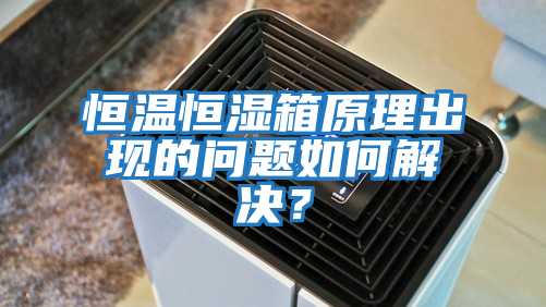恒溫恒濕箱原理出現(xiàn)的問題如何解決？