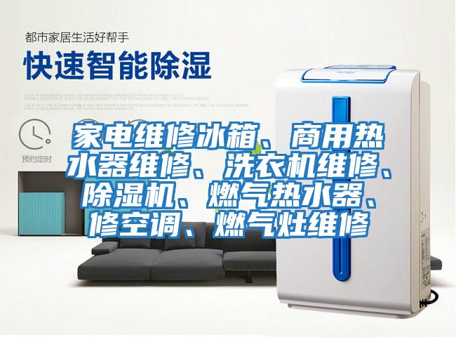 家電維修冰箱、商用熱水器維修、洗衣機(jī)維修、除濕機(jī)、燃?xì)鉄崴鳌⑿蘅照{(diào)、燃?xì)庠罹S修