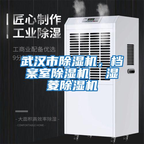 武漢市除濕機，檔案室除濕機  濕菱除濕機