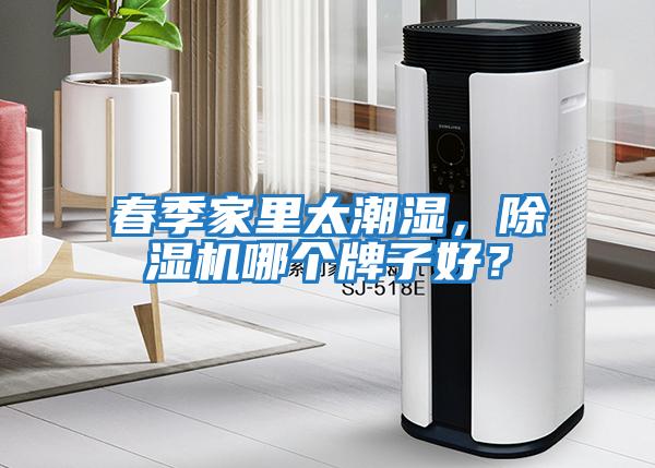 春季家里太潮濕，除濕機(jī)哪個(gè)牌子好？
