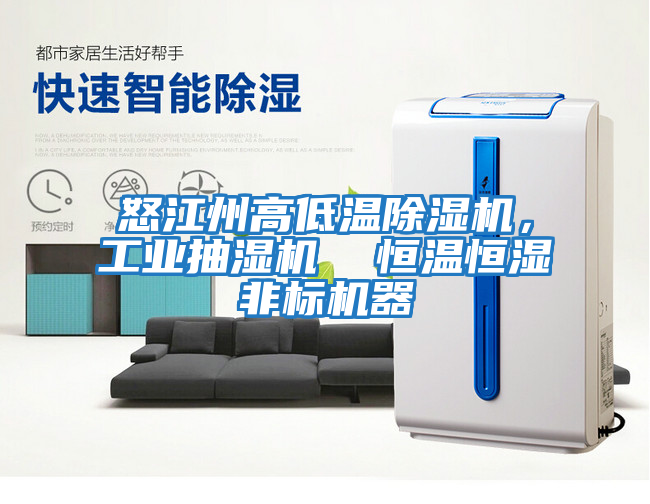 怒江州高低溫除濕機，工業抽濕機  恒溫恒濕非標機器