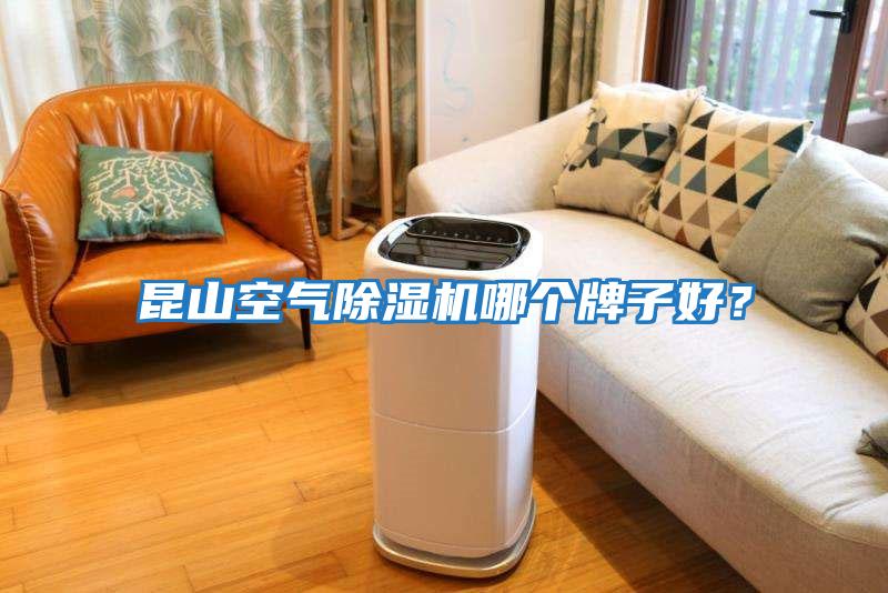 昆山空氣除濕機哪個牌子好？