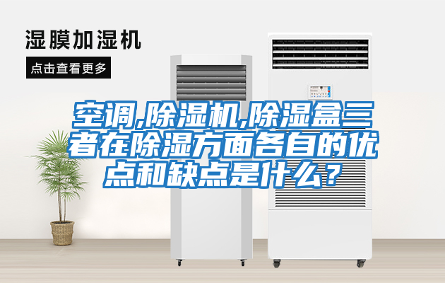 空調(diào),除濕機,除濕盒三者在除濕方面各自的優(yōu)點和缺點是什么？