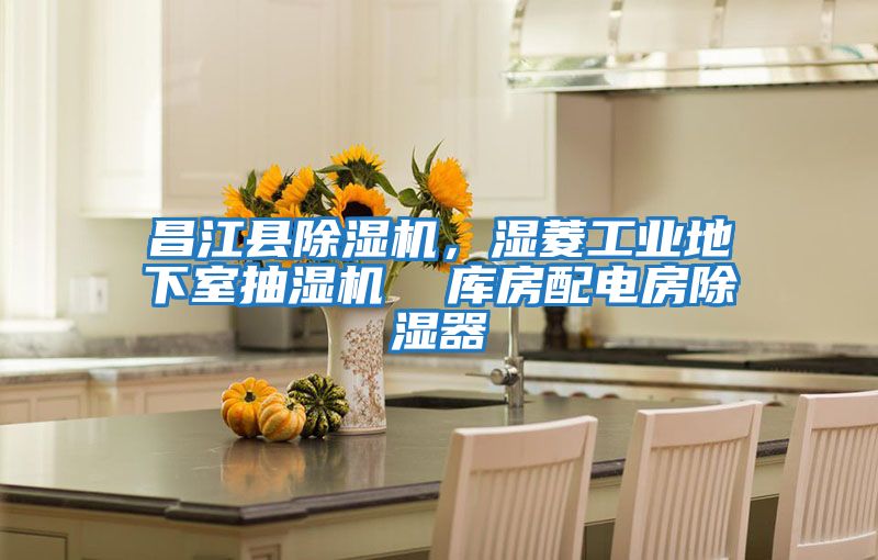 昌江縣除濕機，濕菱工業(yè)地下室抽濕機  庫房配電房除濕器