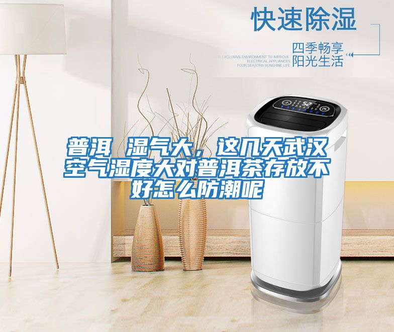 普洱 濕氣大，這幾天武漢空氣濕度大對普洱茶存放不好怎么防潮呢