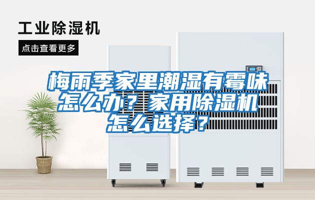 梅雨季家里潮濕有霉味怎么辦？家用除濕機(jī)怎么選擇？