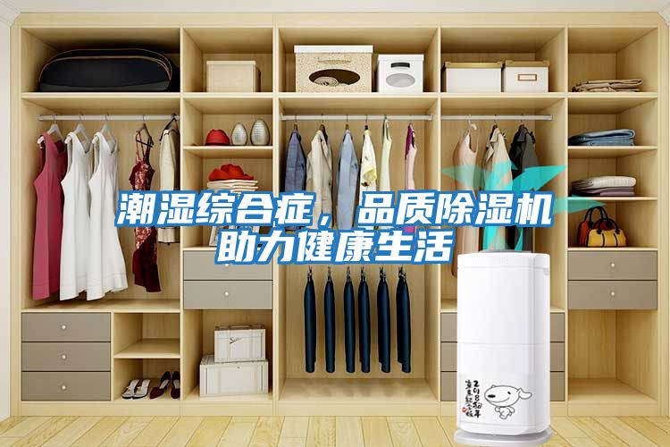 潮濕綜合癥，品質除濕機助力健康生活