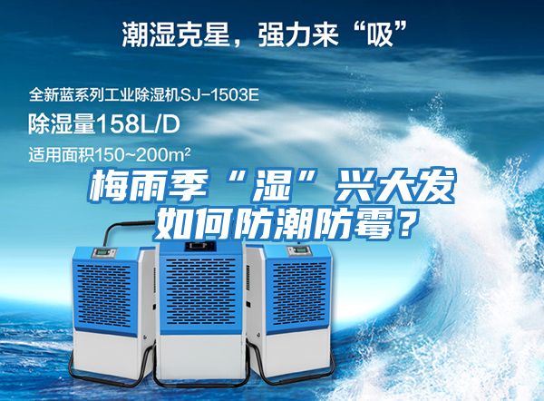 梅雨季“濕”興大發 如何防潮防霉？