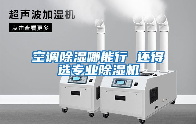 空調(diào)除濕哪能行 還得選專(zhuān)業(yè)除濕機(jī)