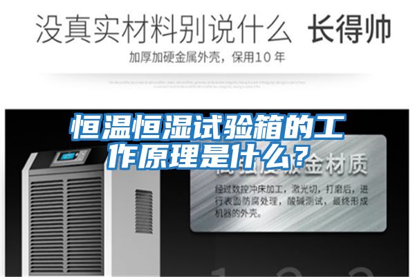 恒溫恒濕試驗(yàn)箱的工作原理是什么？