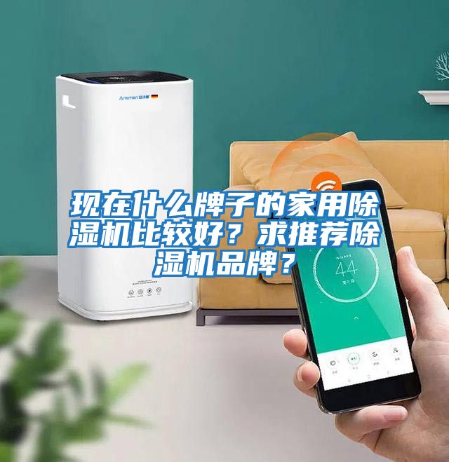 現在什么牌子的家用除濕機比較好？求推薦除濕機品牌？
