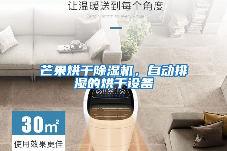 芒果烘干除濕機(jī)，自動排濕的烘干設(shè)備
