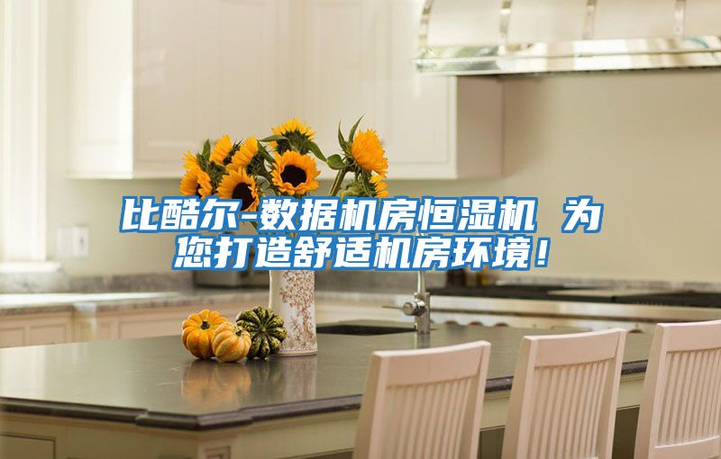 比酷爾-數據機房恒濕機 為您打造舒適機房環境！