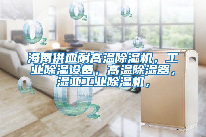 海南供應耐高溫除濕機，工業(yè)除濕設(shè)備，高溫除濕器，濕亞工業(yè)除濕機，