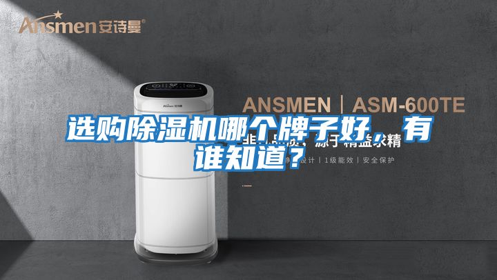 選購除濕機哪個牌子好，有誰知道？