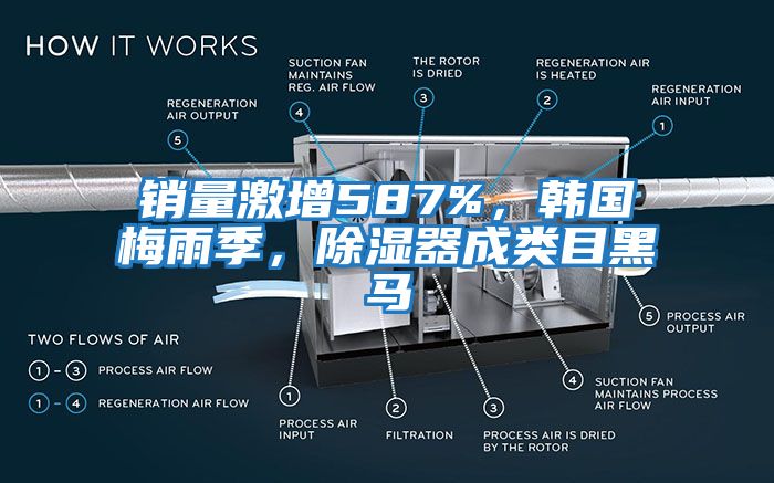 銷量激增587%，韓國梅雨季，除濕器成類目黑馬