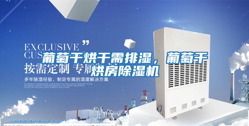 葡萄干烘干需排濕，葡萄干烘房除濕機
