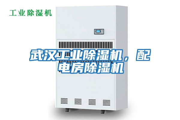 武漢工業(yè)除濕機，配電房除濕機