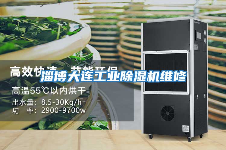 淄博大連工業除濕機維修