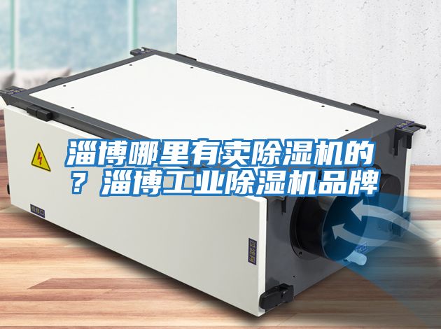 淄博哪里有賣除濕機(jī)的？淄博工業(yè)除濕機(jī)品牌